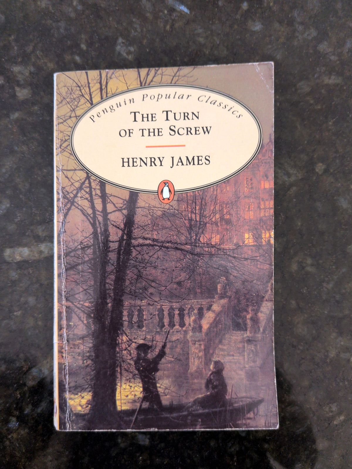 Actual photographed item: The Turn of the Screw — Henry James