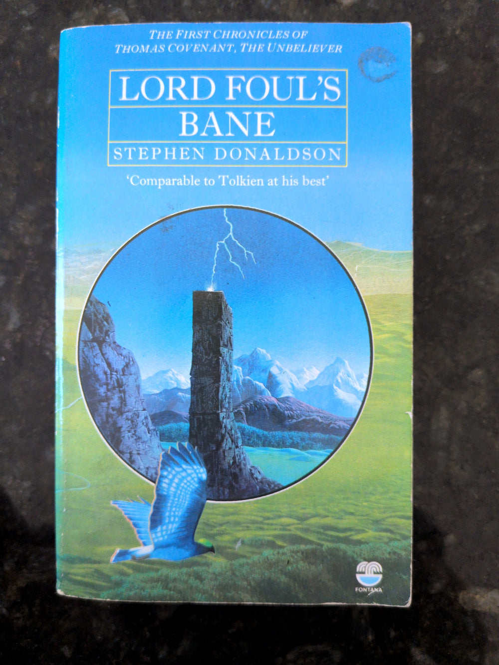 Actual photographed item: Lord Foul’s Bane — Stephen Donaldson