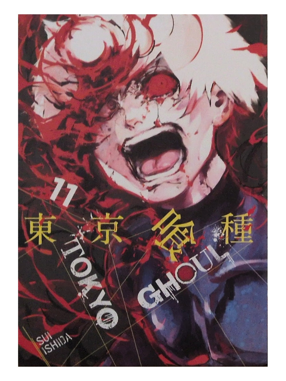 Front cover of Tokyo Ghoul volume 11 by Sui Ishida, photographed copy