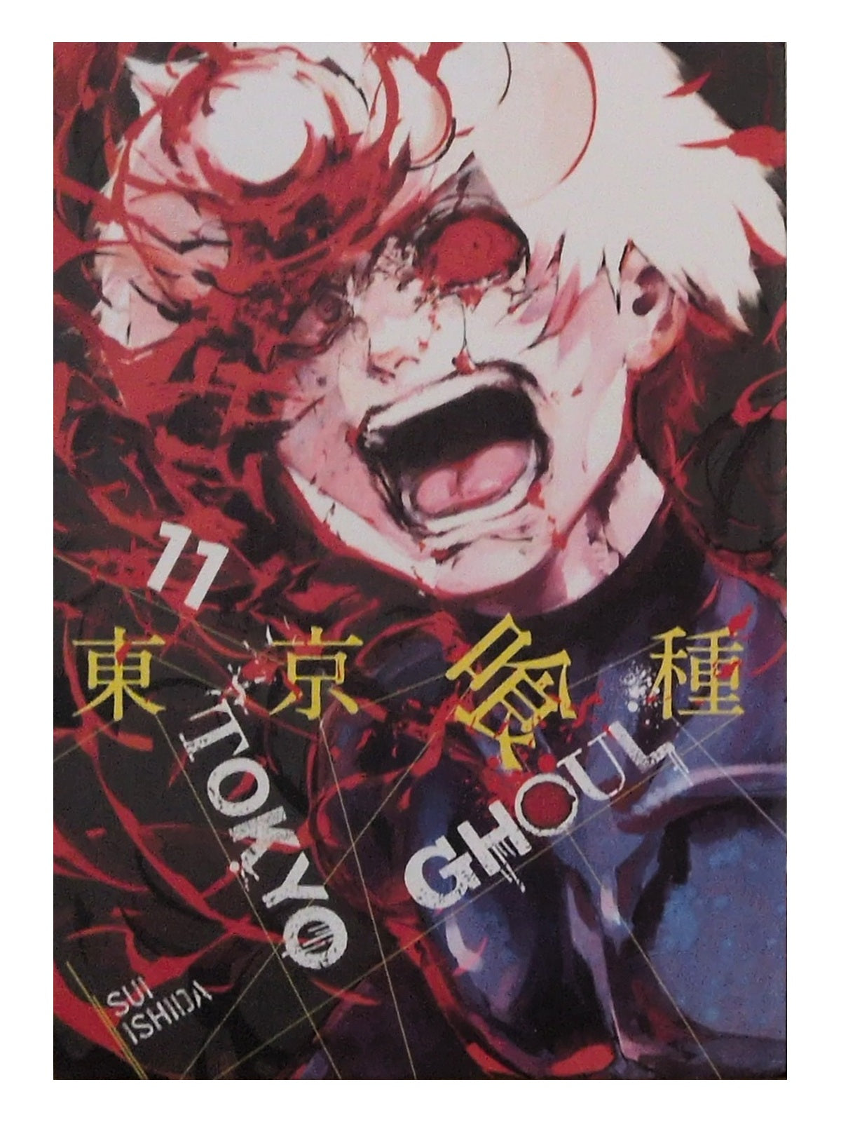 Front cover of Tokyo Ghoul volume 11 by Sui Ishida, photographed copy