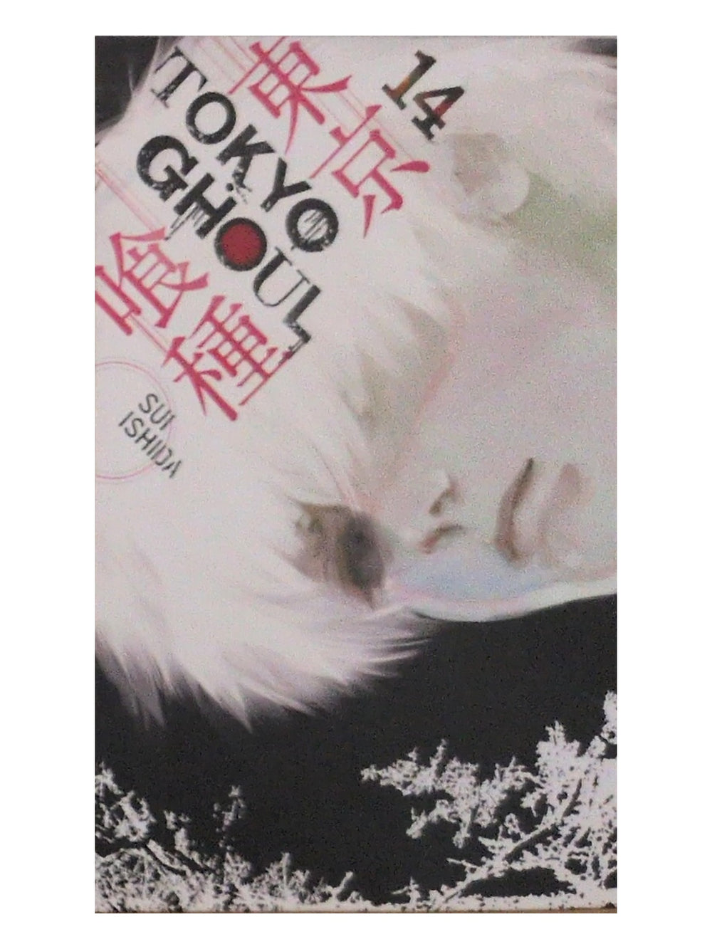 Front cover of Tokyo Ghoul volume 14 by Sui Ishida, photographed copy